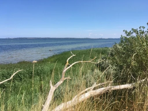 Impression aus Zierow 6