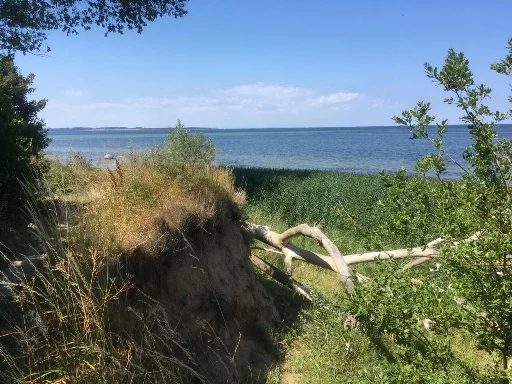 Impression aus Zierow 7