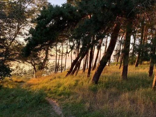 Impression aus Zierow 8