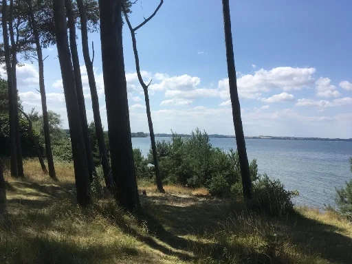 Impression aus Zierow 12